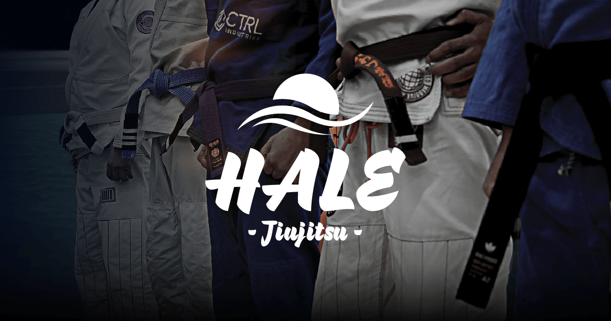 HALE【ハレ柔術】の外観